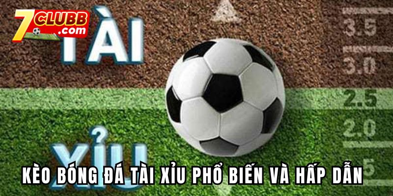 Kèo cá cược bóng đá tài xỉu phổ biến và hấp dẫn