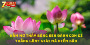 Nằm mơ thấy bông sen