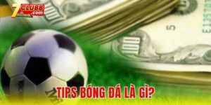 Tips bóng đá là gì