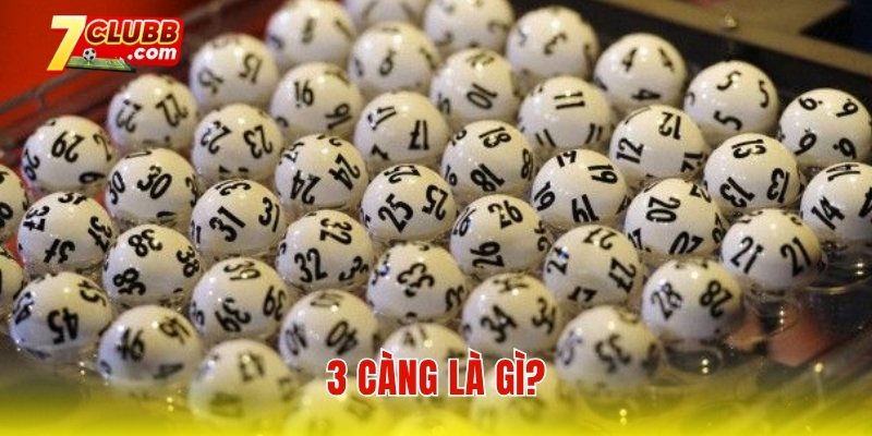 3 càng là gì?