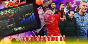 Cách cá độ bóng đá