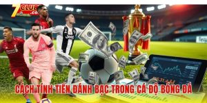 Cách tính tiền đánh bạc trong cá độ bóng đá