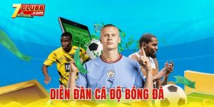 Diễn đàn cá độ bóng đá