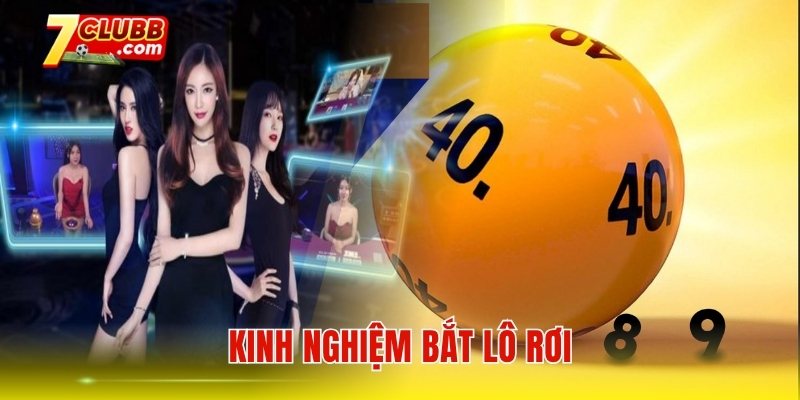 Kinh nghiệm bắt lô rơi
