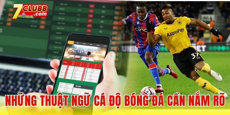 Những thuật ngữ cá độ bóng đá