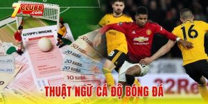 Thuật ngữ cá độ bóng đá