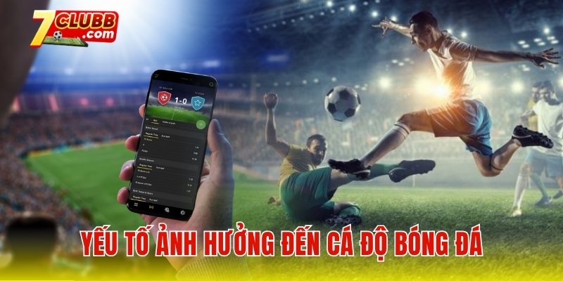 Yếu tố ảnh hưởng đến cá độ bóng đá