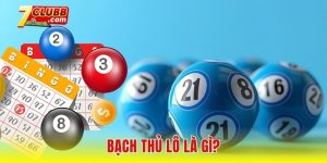 Bạch thủ lô là gì