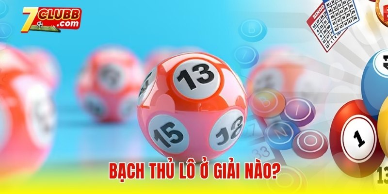 Bạch thủ lô ở giải nào?