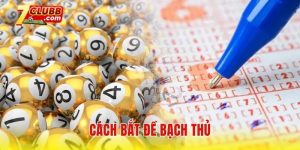 Cách bắt đề bạch thủ