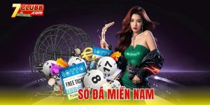 Số đá miền Nam